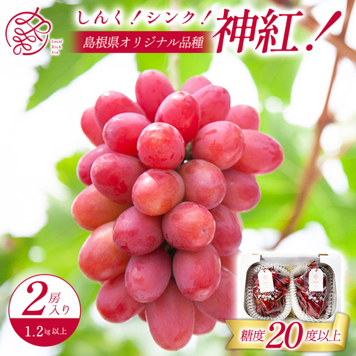 D-857 しんく！シンク！神紅！ 2房入り1.2㎏以上