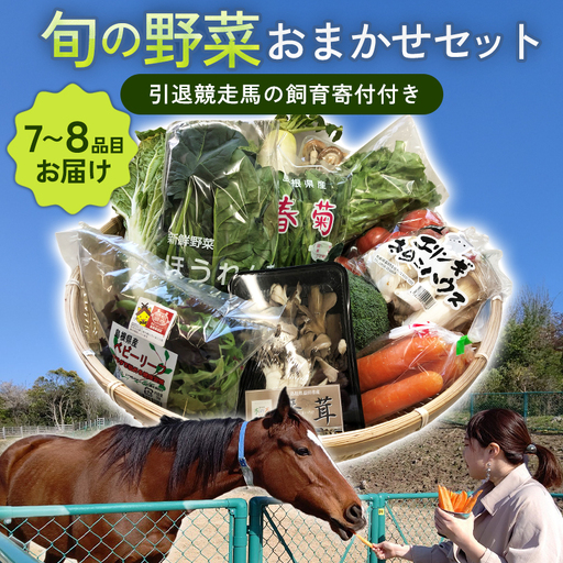 B-860 旬の野菜おまかせセット(引退競走馬の飼育寄付付き)