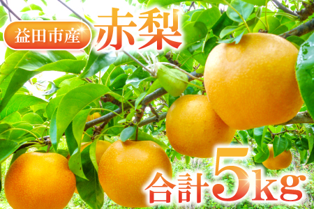 A-934 赤梨 5㎏(幸水梨・豊水梨・新高梨・新興梨)