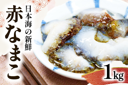 日本海の新鮮 赤なまこ 1kg