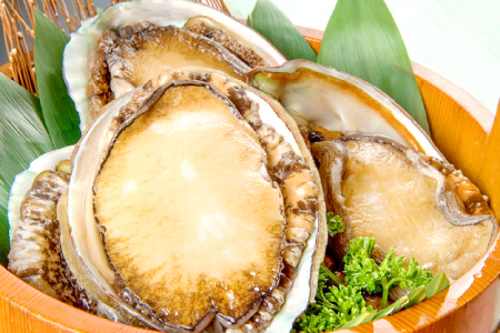 日本海の新鮮あわび 800g