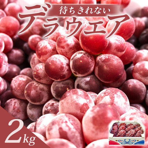 待ちきれないデラウエア 2kg