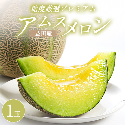 糖度厳選プレミアム アムスメロン 1玉