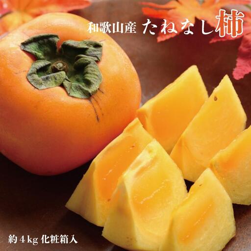 【秋の味覚】和歌山産たねなし柿2L～4Lサイズ約4kg（化粧箱入り）★2026年10月頃より順次発送［TM192］柿
