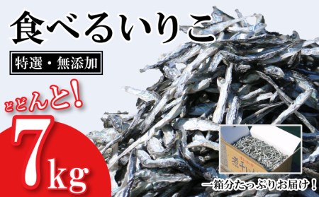 特選 無添加 小羽 いりこ 7kg 煮干し にぼし 業務用 工場直送 出汁 だし 和食 ラーメン いりこ 佃煮 いりこ 甘辛煮 韓国 料理 チゲ 鍋 徳用 いりこ にぼし イワシ 鰯 片口鰯 宇和海 イノシン酸 旨味 大島海産