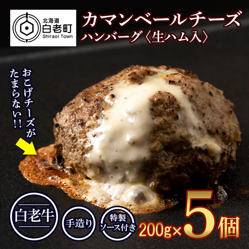 北海道産 白老牛 カマンベールチーズハンバーグ 5個セット