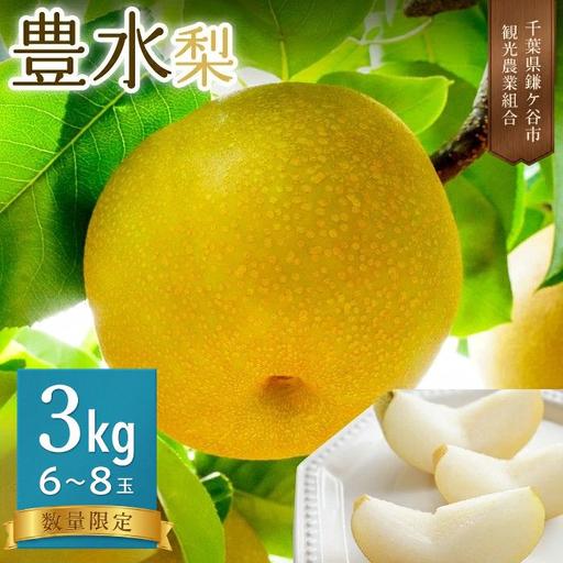 豊水 梨 3kg 6〜8玉 先行予約 千葉 鎌ケ谷市 完熟 甘い 観光農業組合 果物 フルーツ 贈答用 ギフト 2026年8月中旬〜順次発送