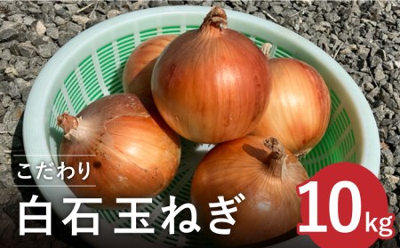 白石玉ねぎ 10kg / 玉ねぎ [IAW009]