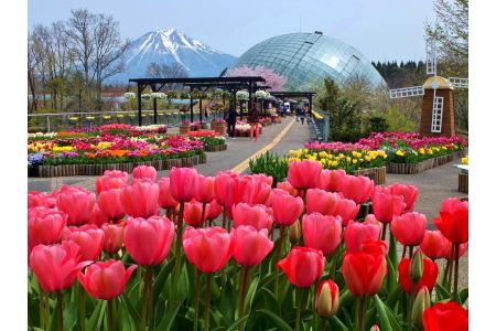 とっとり花回廊ギフト入園券2枚