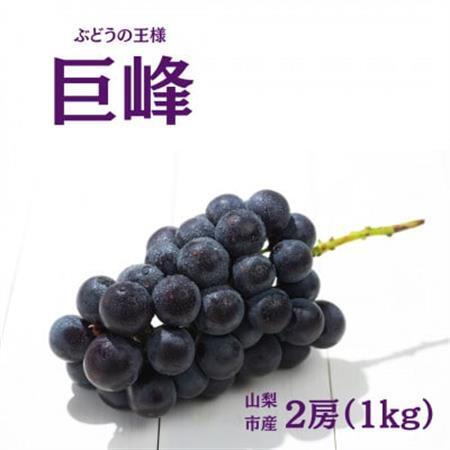 【2026年発送】産地直送 山梨市産 巨峰2房【配送不可地域：離島】【1377175】