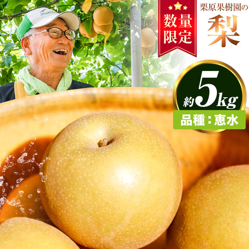 [先行予約]栗原果樹園 梨 5kg 恵水 [9月上旬-9月下旬頃出荷予定]茨城県 結城市 なし 梨 フルーツ 旬 果物 [配送不可地域あり](離島)