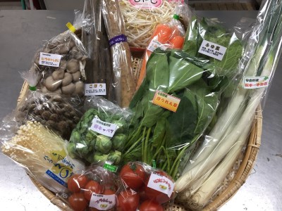 産直センター 旬彩BOX「四季の野菜セット」