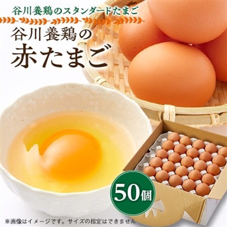 【生みたて濃厚】谷川養鶏の赤たまご　50ヶ入り(※サイズ指定できません)_卵・乳製品 卵  たまご タマゴ 玉子_【配送不可地域：離島】【1390290】