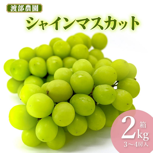 【令和8年産先行予約】 シャインマスカット 約2kg 箱 (3～4房)　山形県鶴岡市 渡部農園