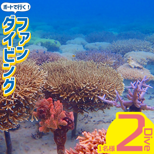 ボートで行く！ファンダイビング（2Dive）｜ダイビングレッスン ダイビングチケット ダイビング体験 沖縄ダイビング