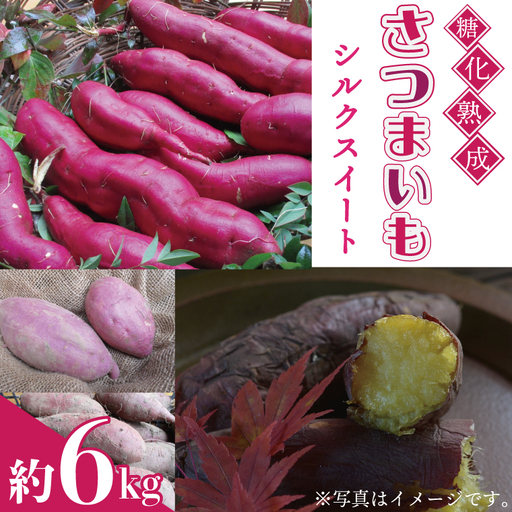 さつまいも 6kg シルクスイート AU001-3