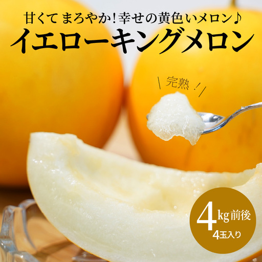[予約受付][2027年発送] 完熟!イエローキングメロン 4kg前後(4玉) 追熟不要 甘い さっぱり スイーツ 果物 さわやか かわいい