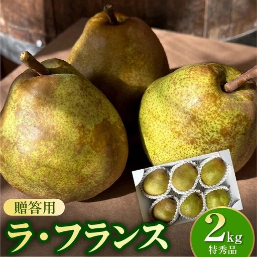 西洋梨（ラ・フランス）２ｋｇ　特秀品　0065-2606