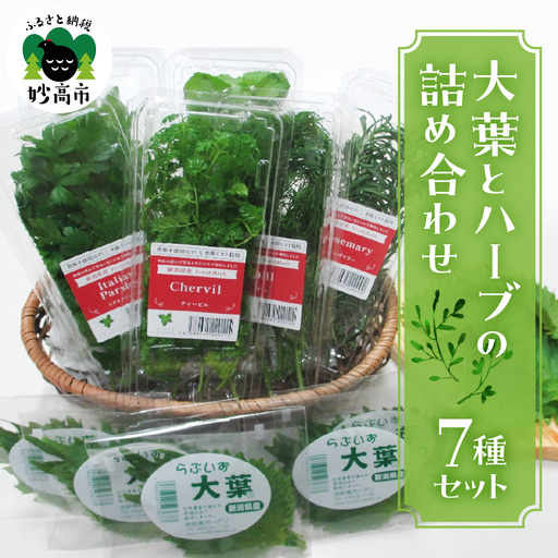 大葉とハーブの詰め合わせセット【新潟県妙高市】 料理 アクセント