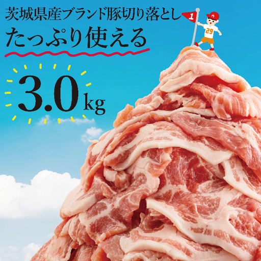 【数量限定】リピーター続出！茨城県産ブランド豚切り落とし3kg (300g×10p)肉 豚肉 切り落とし こま切れ 小分け 訳あり 真空 真空パック 冷凍 国産 茨城県産 産地直送 肩ロース ウデ モモ バラ 高評価 人気 内田本店 茨城県 水戸市（EC-20）