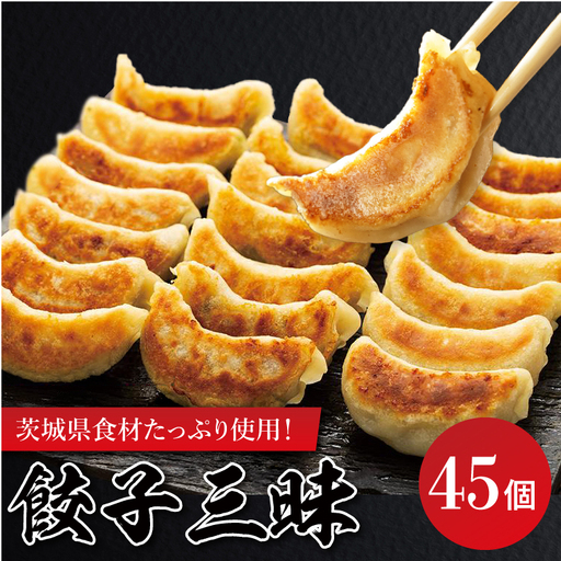 餃子三昧（EQ-1）