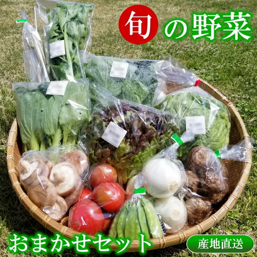 旬の野菜おまかせセット SA073_001