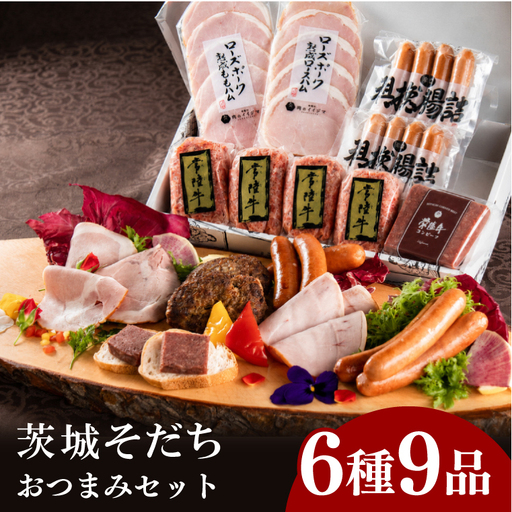 ハム ソーセージ 詰め合わせ ギフト 茨城そだち おつまみセット 肉のイイジマ （DU-94）