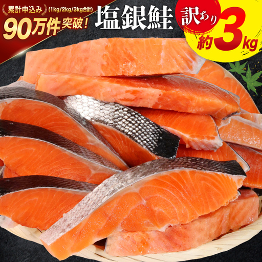訳あり 銀鮭切身 約3kg  サケ しゃけ 魚 鮭 サーモン