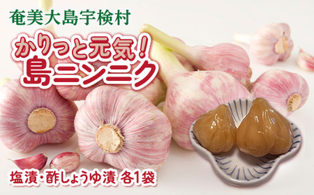 かりっと元気！島ニンニク 塩漬・酢しょうゆ漬 (各1袋) にんにく おつまみ 世界遺産登録記念 奄美大島 宇検村 鹿児島