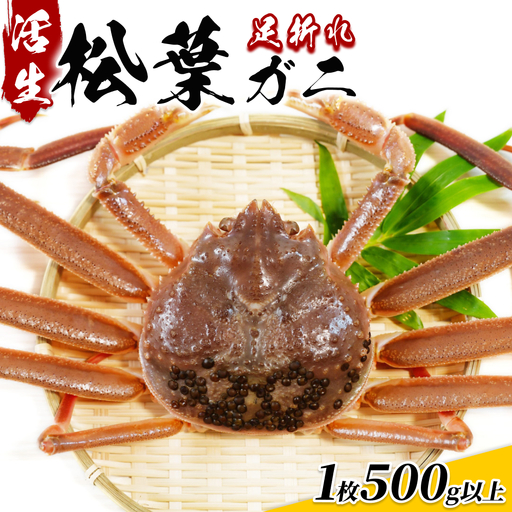 【22015】鳥取県網代産 松葉がに（足折れ１～２本）500g以上（生）※お届けは2026年11月中旬～