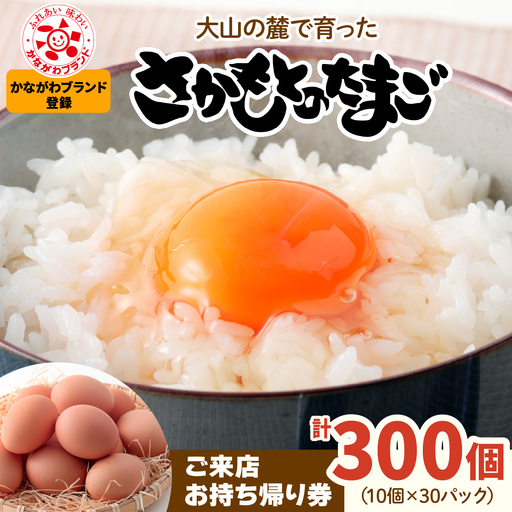 さかもとのたまご「ご来店お持ち帰り用券」合計300個 (10個×30パック) [0802]