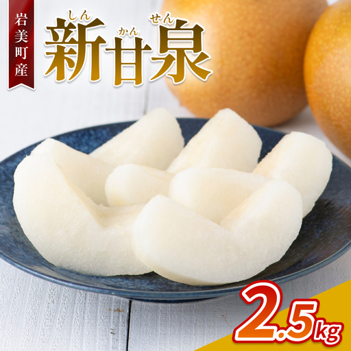 【先行予約】新甘泉（梨）2.5kg 2026年収穫後 9月頃～順次発送予定 （着日指定不可）鳥取県 岩美町産【41003】