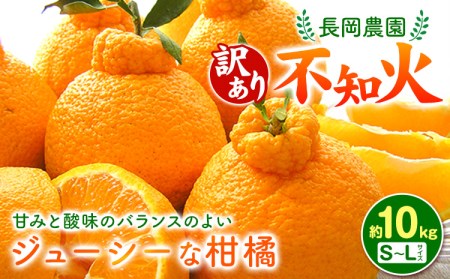 訳あり 不知火 ( デコポン ) 約10kg 長岡農園