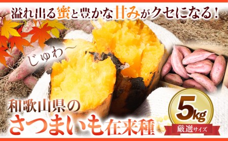 和歌山県のサツマイモ 厳選サイズ 5kg みはらファーム さつまいも