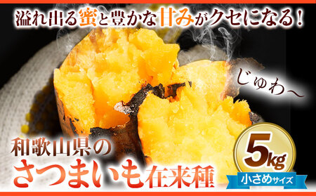 和歌山県のサツマイモ 小さめ サイズ 5kg みはらファーム さつまいも