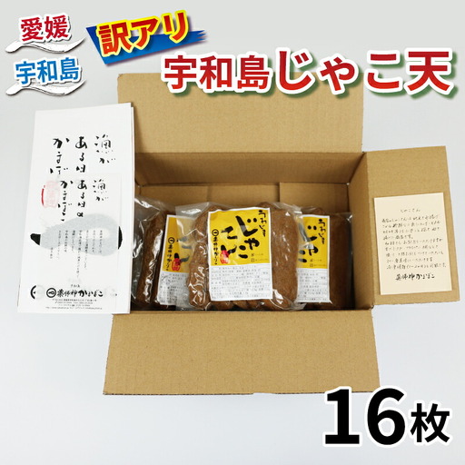 訳あり じゃこ天 16枚 薬師神かまぼこ 練り物練り物