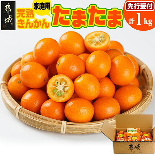 [先行受付!] [家庭用]宮崎ブランド完熟きんかん「たまたま」1kg〔LG-0101〕_(都城市) みやざきブランド 完熟きんかん たまたま Lサイズ 家庭用 糖度[16度以上]大きさ[直径2.8cm以上]