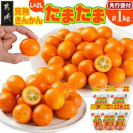 [先行受付!] 完熟きんかん「たまたまL&2L」 計1kg (スタンドパック入り)〔AO-0104〕_(都城市) みやざきブランド 完熟きんかん たまたま Lサイズ 2Lサイズ スタンドパック