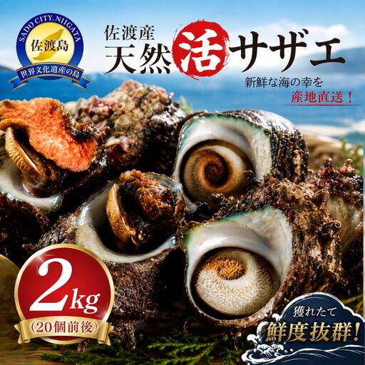 佐渡産 天然活サザエ 2kg 20個前後 サザエ