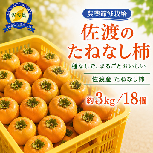 種なし柿 島のかき 3キロ | 新潟県 佐渡市 柿