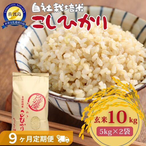 自社栽培米佐渡産こしひかり（玄米10kg）9カ月定期便