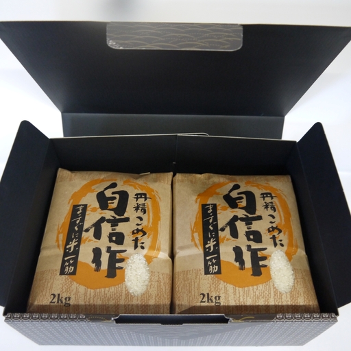 【令和7年産】佐渡高千産こしひかり 精米2kg×2袋 化粧箱入