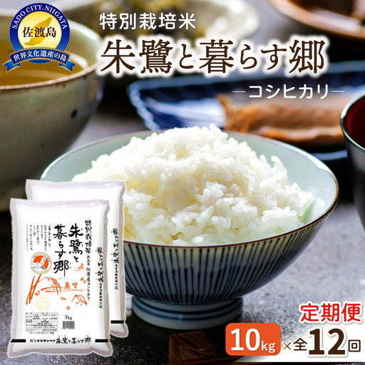 定期便 10kg 毎月12回 コシヒカリ 朱鷺と暮らす郷 | 新潟県 佐渡市