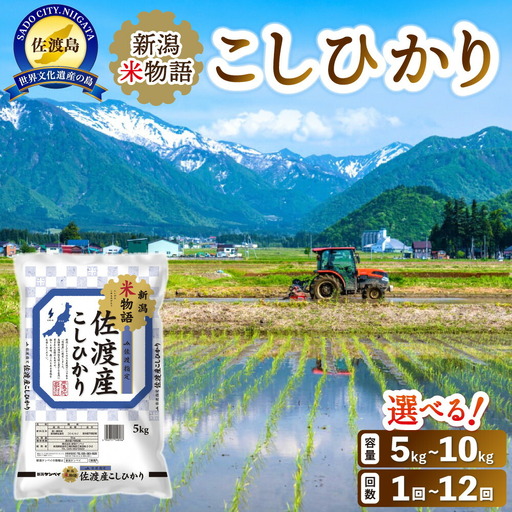 コシヒカリ 5kg 新潟米物語 | 新潟県 佐渡市