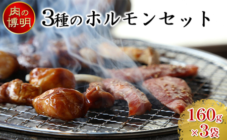 [ヤキニクストック]3種のホルモンセット 160g×3袋[肉の博明][焼肉セット][国産]