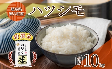 R7年産 特選米 ハツシモ 精米 10kg ×1袋 お米 米 白米 ごはん 精白米 ご飯 はつしも 令和7年産 ブランド米 低農薬 お取り寄せ 産地直送 クリーンファームまき 送料無料 岐阜県 安八町