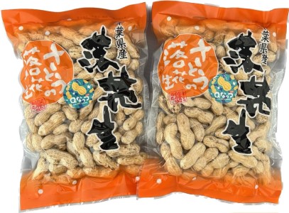【千葉県 落花生】から煎り落花生　Qなっつ　250g　2袋