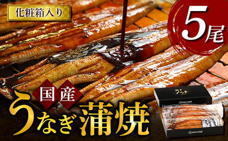 うなぎ蒲焼 5尾入　国産 鰻 ウナギ 蒲焼き ギフト 贈答品 お歳暮 正月 うな丼 鰻丼 うな重 鰻重 ひつまぶし お中元 魚貝類 魚介類 