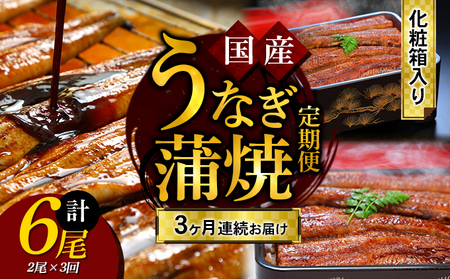 【定期便】うなぎ蒲焼 2尾入 3ヶ月連続お届け 鰻 