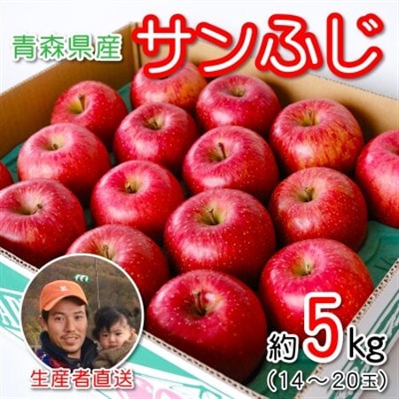 青森県産 産地直送!家庭用 サンふじ 約5kg_果物・フルーツ りんご  リンゴ 林檎_【配送不可地域：離島】【1387746】